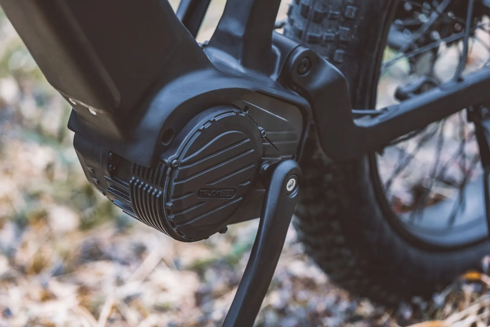 Cargo E-Bike Safety for Carrying Kids